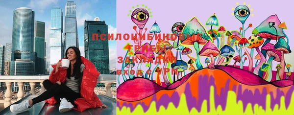 spice Абаза