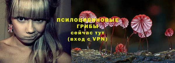 таблы Нижний Тагил